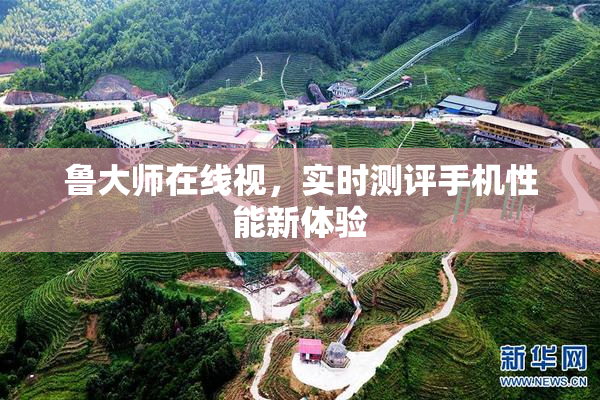 鲁大师在线视，实时测评手机性能新体验
