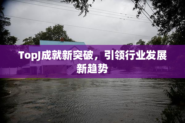 TopJ成就新突破，引领行业发展新趋势