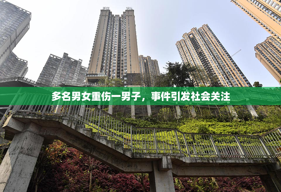 多名男女重伤一男子，事件引发社会关注