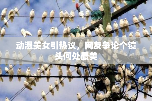 动漫美女引热议，网友争论个镜头何处最美