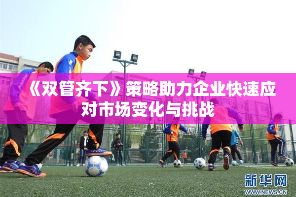 《双管齐下》策略助力企业快速应对市场变化与挑战
