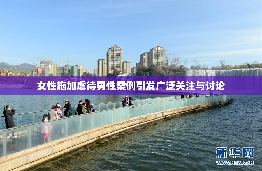 女性施加虐待男性案例引发广泛关注与讨论
