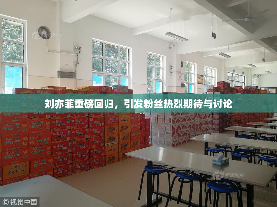 刘亦菲重磅回归，引发粉丝热烈期待与讨论