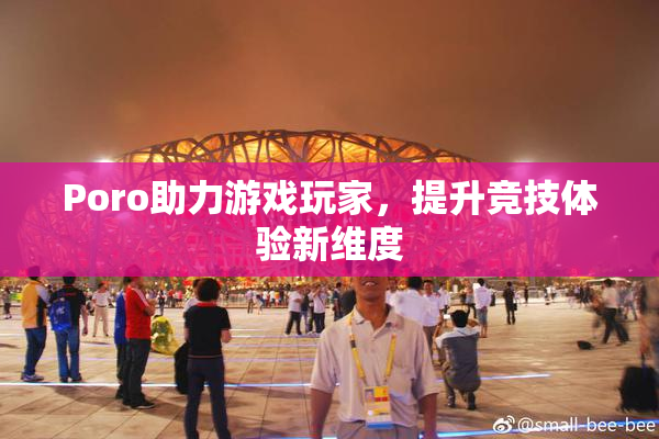 Poro助力游戏玩家，提升竞技体验新维度