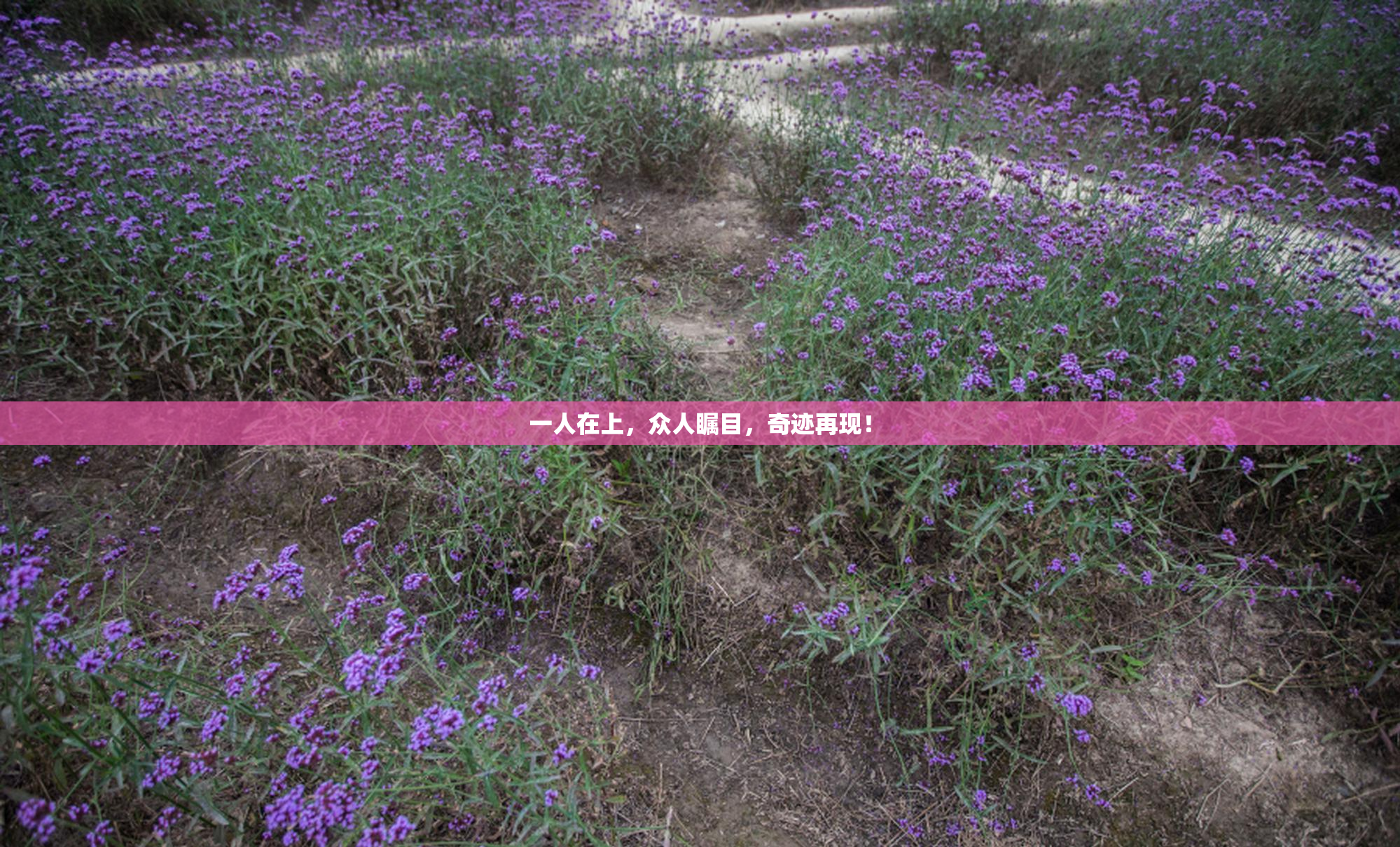 一人在上，众人瞩目，奇迹再现！