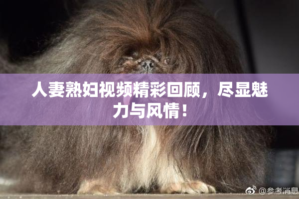 人妻熟妇视频精彩回顾，尽显魅力与风情！