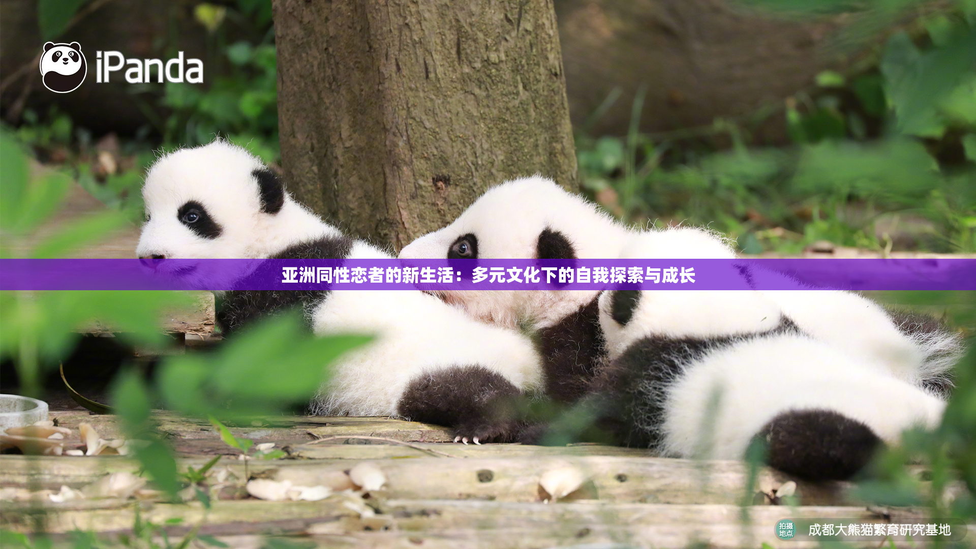 亚洲同性恋者的新生活：多元文化下的自我探索与成长