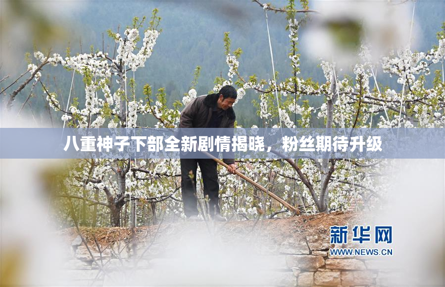 八重神子下部全新剧情揭晓，粉丝期待升级