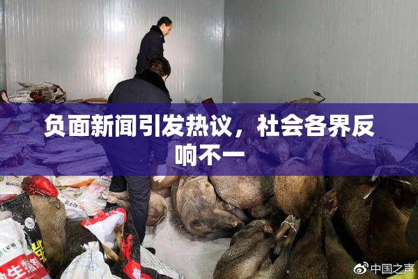 负面新闻引发热议，社会各界反响不一