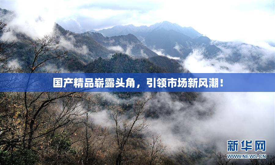 国产精品崭露头角，引领市场新风潮！