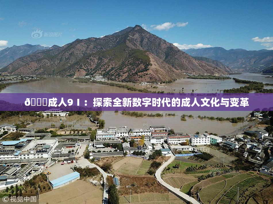 🔞成人9Ⅰ：探索全新数字时代的成人文化与变革