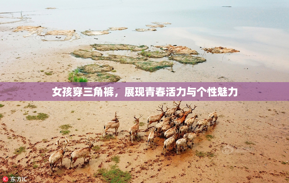 女孩穿三角裤，展现青春活力与个性魅力
