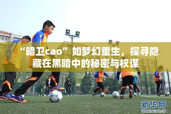 “暗卫cao”如梦幻重生，探寻隐藏在黑暗中的秘密与权谋