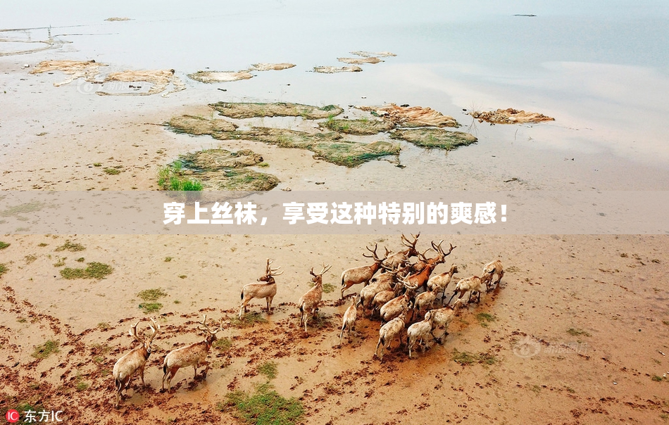 穿上丝袜，享受这种特别的爽感！