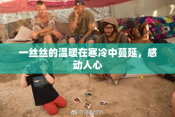 一丝丝的温暖在寒冷中蔓延，感动人心