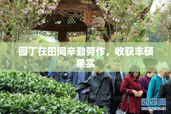 园丁在田间辛勤劳作，收获丰硕果实