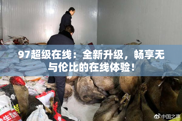 97超级在线：全新升级，畅享无与伦比的在线体验！