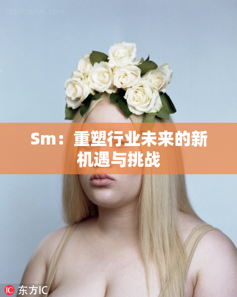 Sm：重塑行业未来的新机遇与挑战