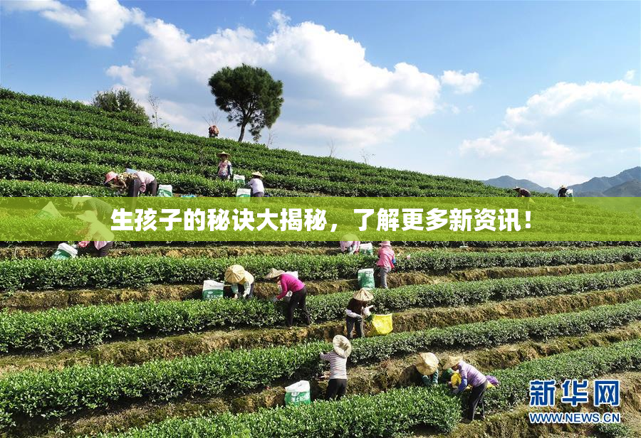 生孩子的秘诀大揭秘，了解更多新资讯！