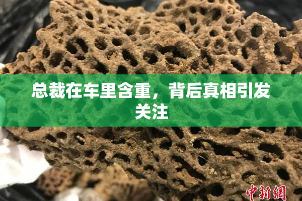 总裁在车里含重，背后真相引发关注