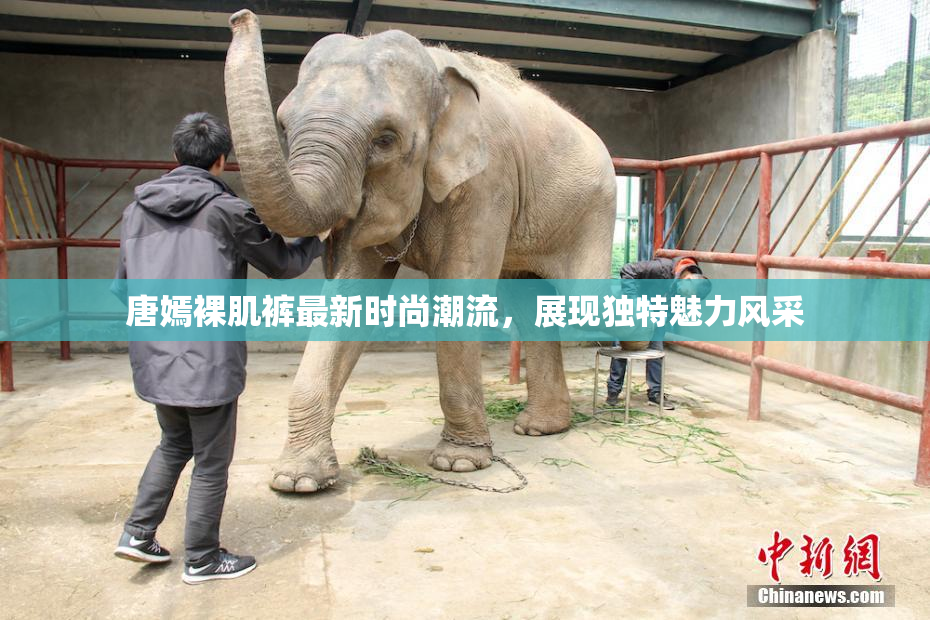 唐嫣裸肌裤最新时尚潮流，展现独特魅力风采