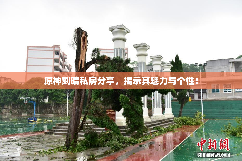 原神刻晴私房分享，揭示其魅力与个性！