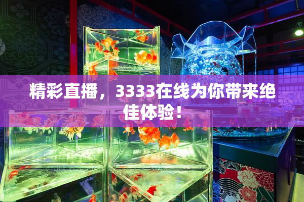 精彩直播，3333在线为你带来绝佳体验！