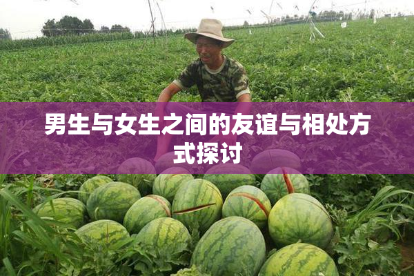 男生与女生之间的友谊与相处方式探讨