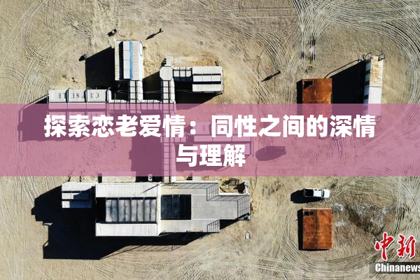 探索恋老爱情：同性之间的深情与理解