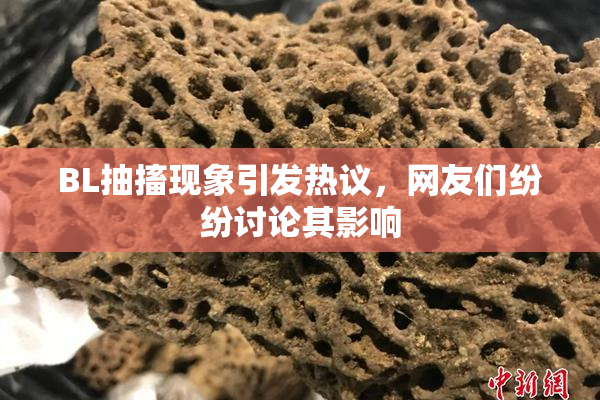 BL抽搐现象引发热议，网友们纷纷讨论其影响