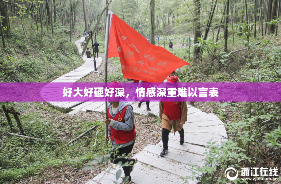 好大好硬好深，情感深重难以言表