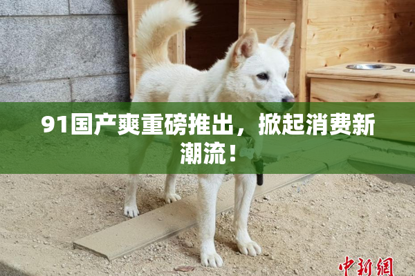 91国产爽重磅推出，掀起消费新潮流！