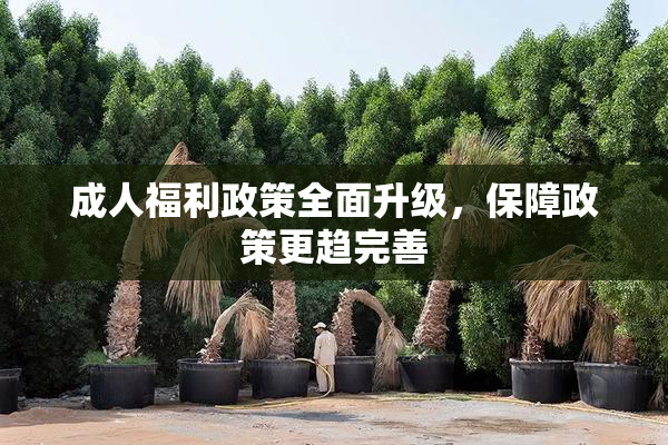 成人福利政策全面升级，保障政策更趋完善