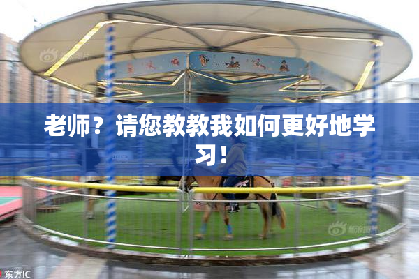 老师？请您教教我如何更好地学习！