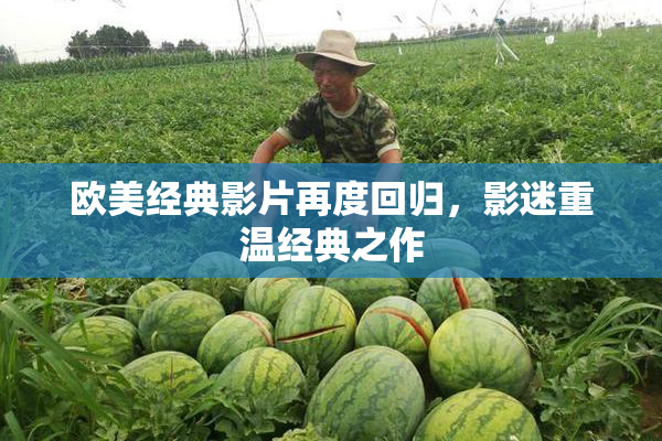 欧美经典影片再度回归，影迷重温经典之作