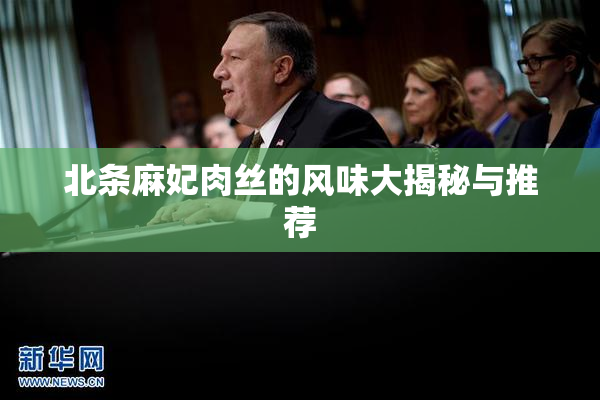 北条麻妃肉丝的风味大揭秘与推荐