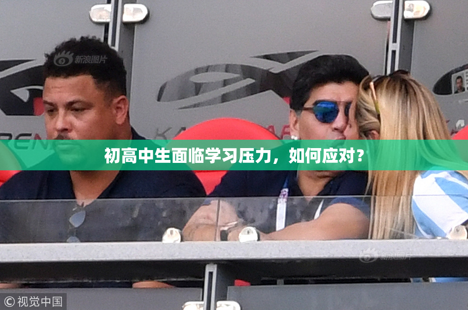 初高中生面临学习压力，如何应对？