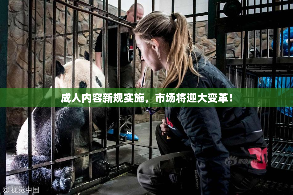 成人内容新规实施，市场将迎大变革！