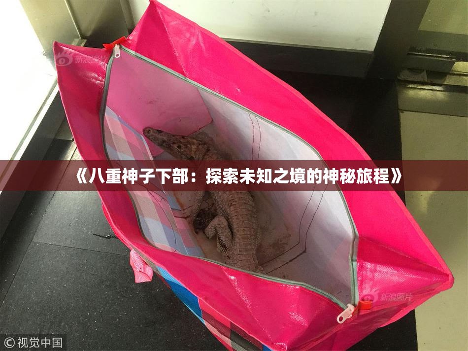 《八重神子下部：探索未知之境的神秘旅程》