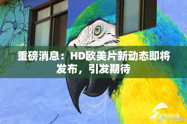 重磅消息：HD欧美片新动态即将发布，引发期待