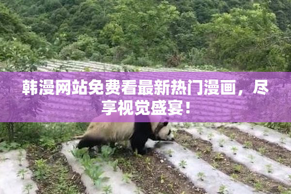 韩漫网站免费看最新热门漫画，尽享视觉盛宴！