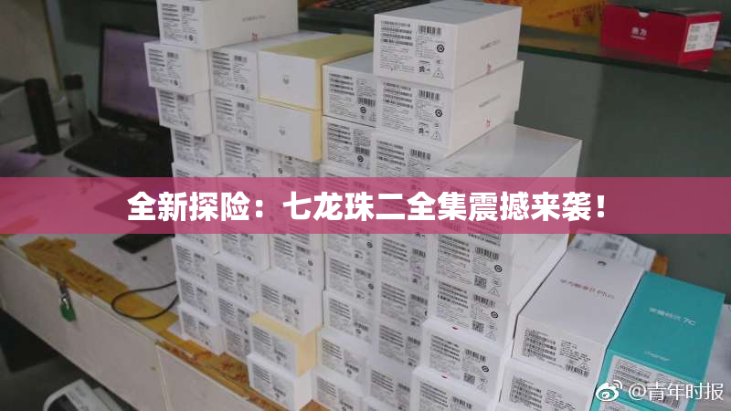 全新探险：七龙珠二全集震撼来袭！