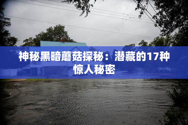 神秘黑暗蘑菇探秘：潜藏的17种惊人秘密