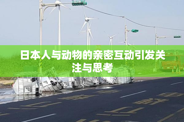 日本人与动物的亲密互动引发关注与思考
