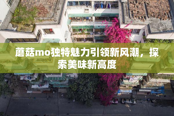 蘑菇mo独特魅力引领新风潮，探索美味新高度