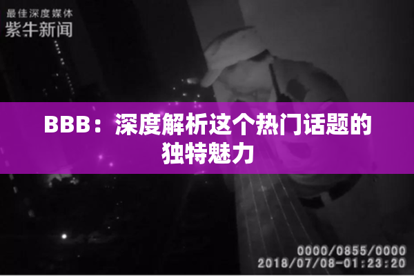 BBB：深度解析这个热门话题的独特魅力