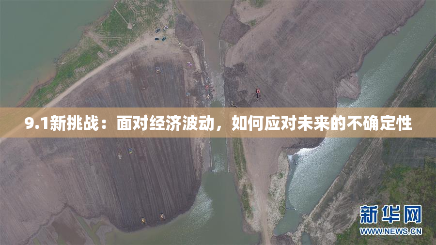 9.1新挑战：面对经济波动，如何应对未来的不确定性