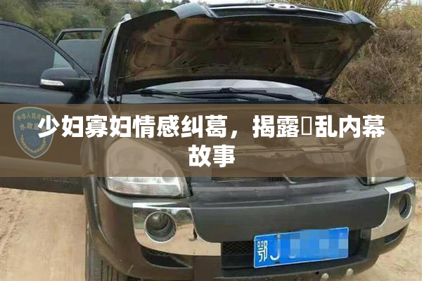 少妇寡妇情感纠葛，揭露婬乱内幕故事