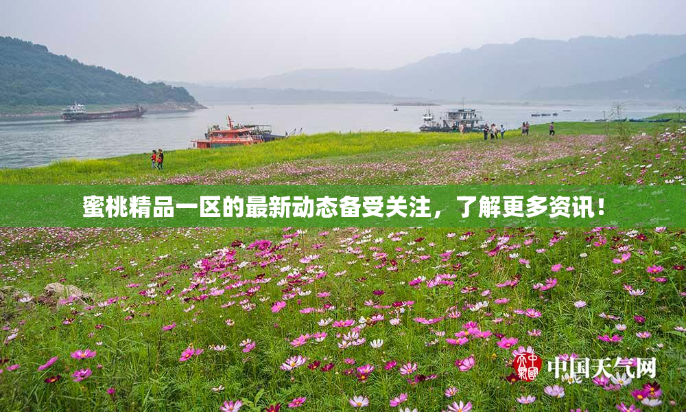 蜜桃精品一区的最新动态备受关注，了解更多资讯！