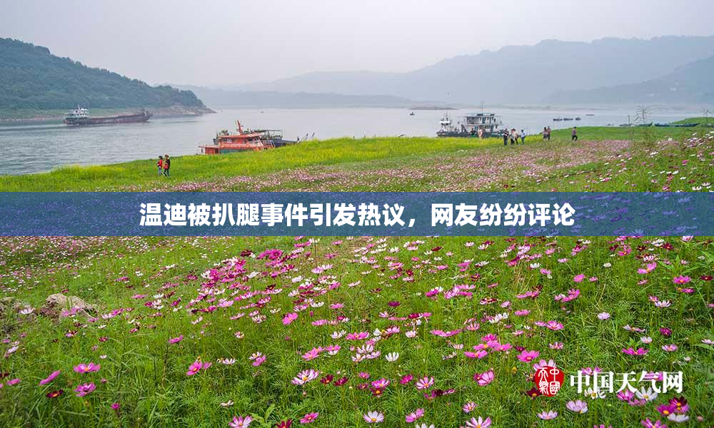 温迪被扒腿事件引发热议，网友纷纷评论